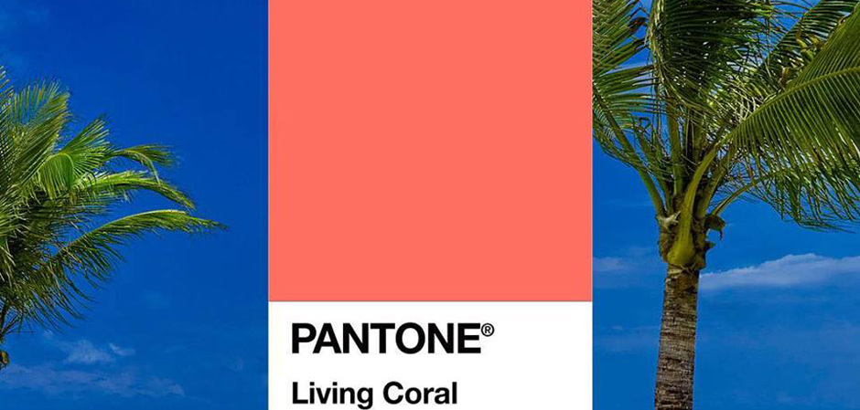 Главный цвет 2019 года по версии PANTONE