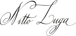 Nitto Luga logo